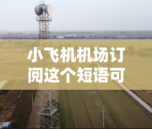 小飞机机场订阅这个短语可能有多种解释，具体取决于上下文。以下是一些可能的解释