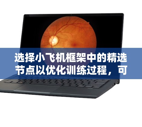 选择小飞机框架中的精选节点以优化训练过程,可以通过以下步骤进行 选择小飞机框架中的精选节点以优化训练过程,可以通过以下步骤进行