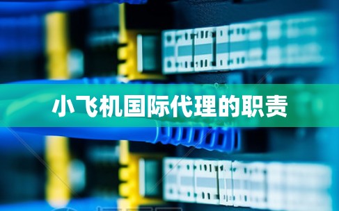 小飞机国际代理的职责 小飞机国际代理的职责