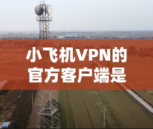 小飞机VPN的官方客户端是一个功能强大且安全的网络工具，以下是使用其官方客户端的详细指南