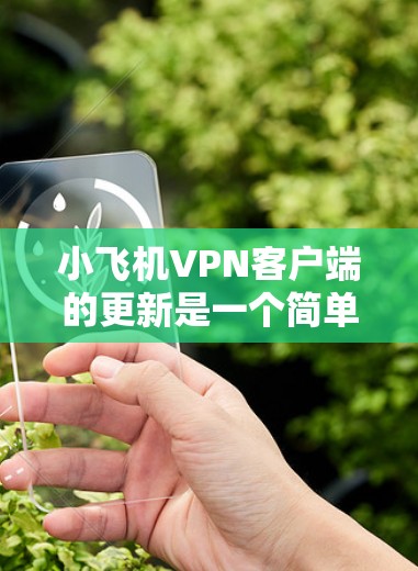 小飞机VPN客户端的更新是一个简单的过程，以下是详细的步骤指南