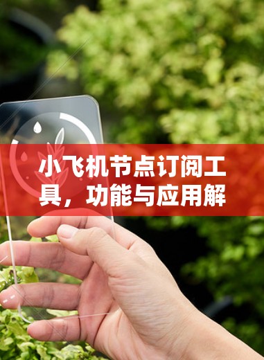 小飞机节点订阅工具,功能与应用解析