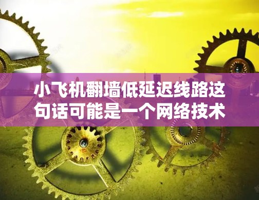 小飞机翻墙低延迟线路这句话可能是一个网络技术或设备的描述,具体含义需要结合上下文来理解。以下是一些可能的解释和步骤