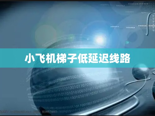 小飞机梯子低延迟线路