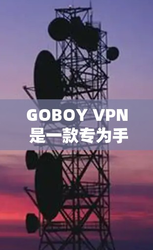 GOBOY VPN 是一款专为手机用户设计的 VPN 应用,旨在帮助用户访问 restricted 的内容、保护隐私以及连接到多国 IP。以下是关于 GOBOY VPN 的详细介绍