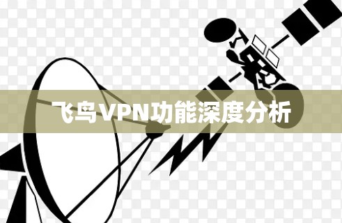 飞鸟VPN功能深度分析