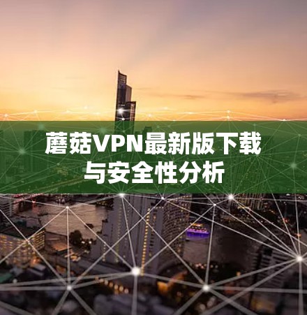蘑菇VPN最新版下载与安全性分析