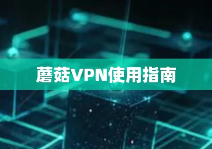 蘑菇VPN使用指南