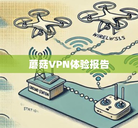 蘑菇VPN体验报告