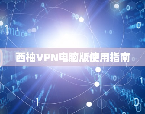 西柚VPN电脑版使用指南