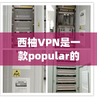 西柚VPN是一款popular的VPN服务，提供了多种协议（如OpenVPN、PPTP、L2TP等）和多种服务器地区，能够帮助用户保护隐私、绕过防火墙以及访问被限制的内容
