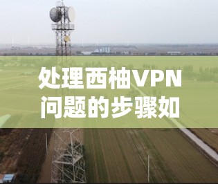 处理西柚VPN问题的步骤如下