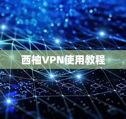 西柚VPN使用教程