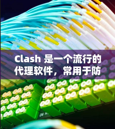 Clash 是一个流行的代理软件,常用于防火墙、网络访问控制、DNS 隐私保护等场景。以下是 Clash 代理设置的详细指南