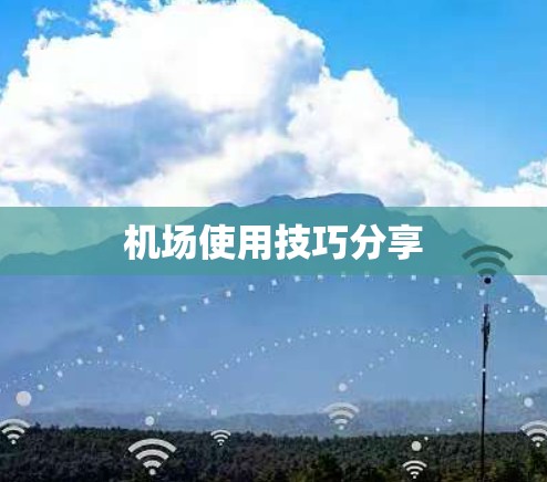 机场使用技巧分享 机场使用技巧分享