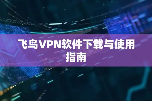 飞鸟VPN软件下载与使用指南