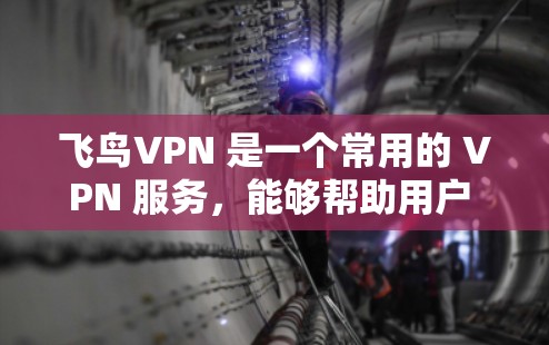飞鸟VPN 是一个常用的 VPN 服务,能够帮助用户 消除网络限制,访问更多内容。以下是使用飞鸟VPN 在手机上的详细教程