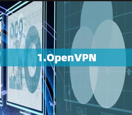 1.OpenVPN