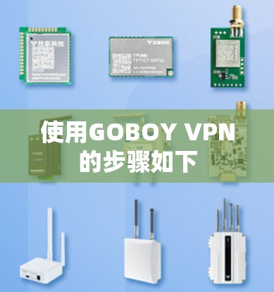 使用GOBOY VPN的步骤如下