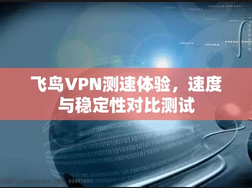 飞鸟VPN测速体验,速度与稳定性对比测试 飞鸟VPN测速体验,速度与稳定性对比测试