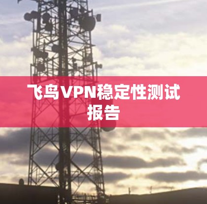 飞鸟VPN稳定性测试报告
