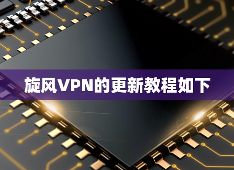 旋风VPN的更新教程如下