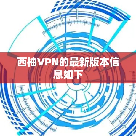 西柚VPN的最新版本信息如下