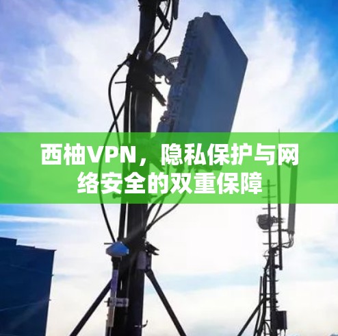 西柚VPN,隐私保护与网络安全的双重保障