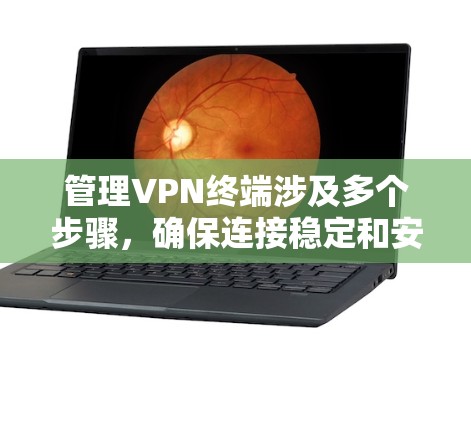 管理VPN终端涉及多个步骤,确保连接稳定和安全。以下是详细的分步指南