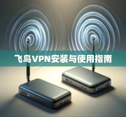 飞鸟VPN安装与使用指南