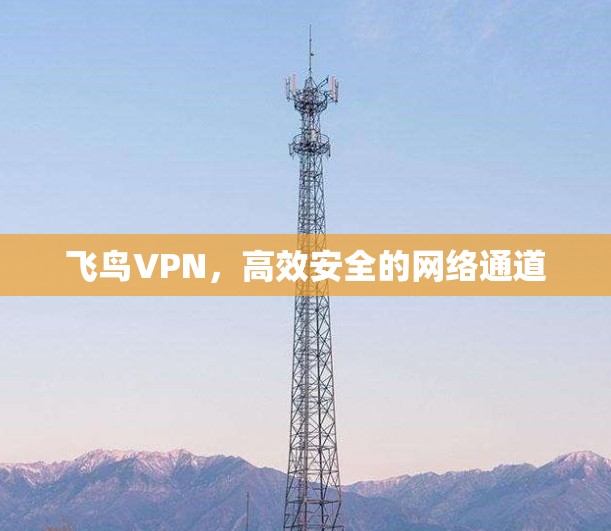 飞鸟VPN,高效安全的网络通道