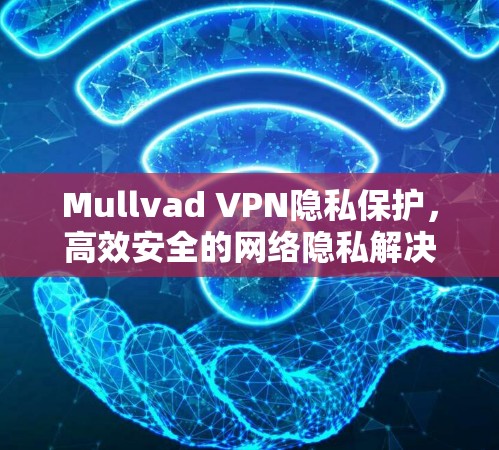 Mullvad VPN隐私保护，高效安全的网络隐私解决方案