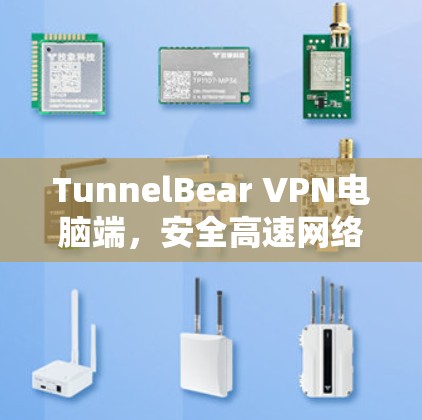 TunnelBear VPN电脑端，安全高速网络通道，专业通信解决方案