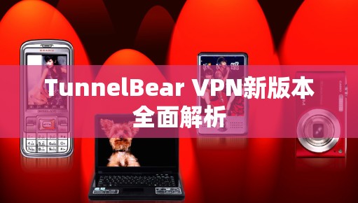 TunnelBear VPN新版本全面解析