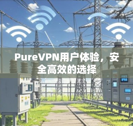 PureVPN用户体验,安全高效的选择 PureVPN用户体验,安全高效的选择