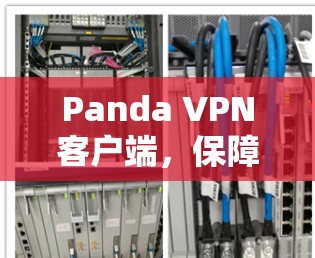Panda VPN客户端,保障网络安全的无懈可击解决方案