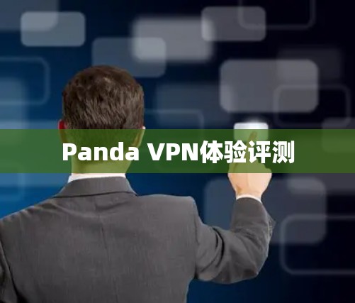 Panda VPN体验评测