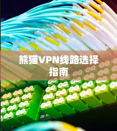 熊猫VPN线路选择指南