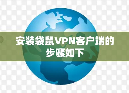 安装袋鼠VPN客户端的步骤如下