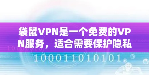 袋鼠VPN是一个免费的VPN服务,适合需要保护隐私和安全的用户。以下是使用袋鼠VPN的详细步骤