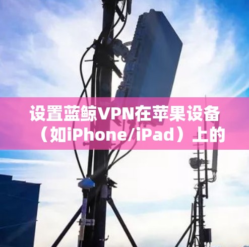 设置蓝鲸VPN在苹果设备(如iPhone/iPad)上的步骤如下
