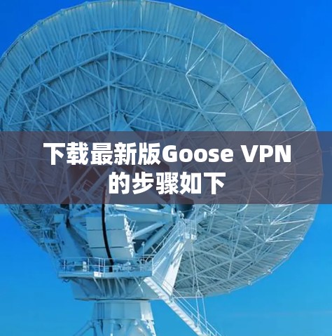 下载最新版Goose VPN的步骤如下