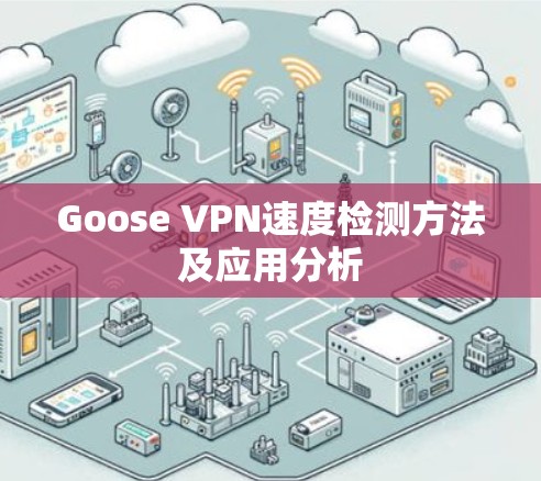 Goose VPN速度检测方法及应用分析