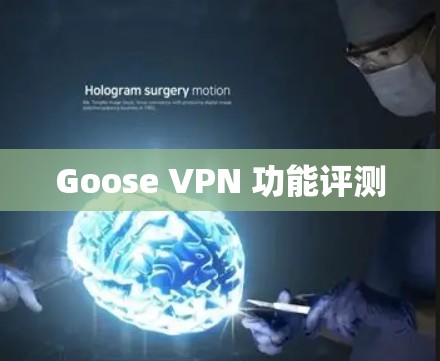 Goose VPN 功能评测