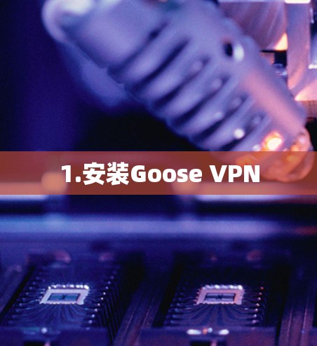 1.安装Goose VPN