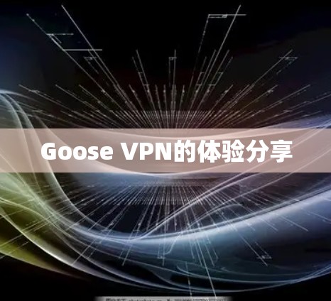 Goose VPN的体验分享