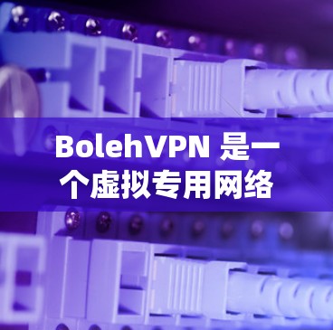 BolehVPN 是一个虚拟专用网络(VPN)服务,旨在为用户提供更安全、更私密的网络体验。它可以帮助用户保护隐私,避免网络监控,并访问受限制的内容