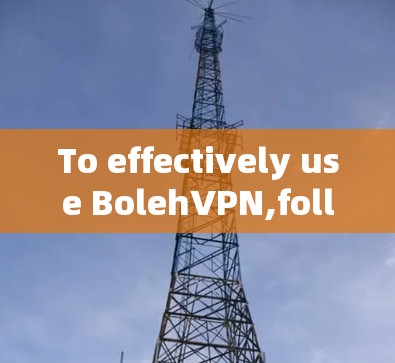 To effectively use BolehVPN,follow these organized steps: