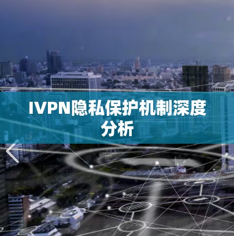 IVPN隐私保护机制深度分析
