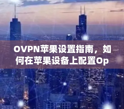 OVPN苹果设置指南,如何在苹果设备上配置OpenVPN